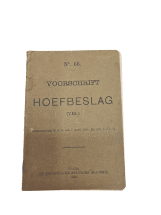 20210206_10063487602_nobg