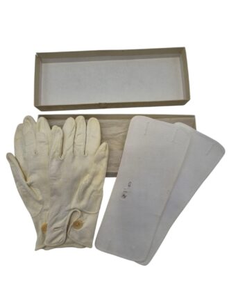 Photoroom-20251031_092453_35