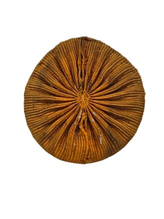 20260129_114015-Photoroom